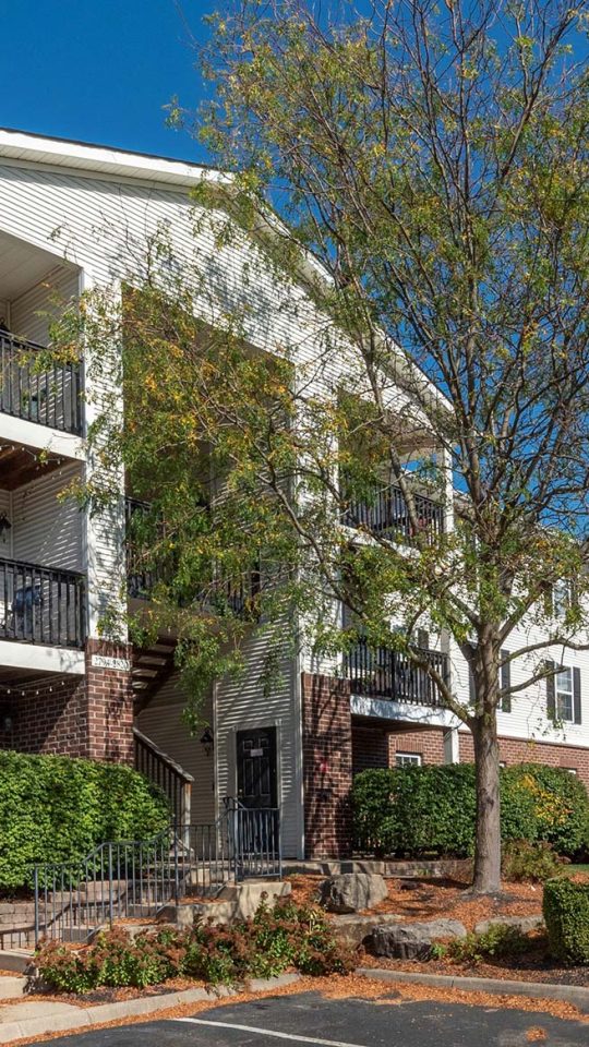 the exterior of an apartment complex with trees and bushes at The Sawmill Park